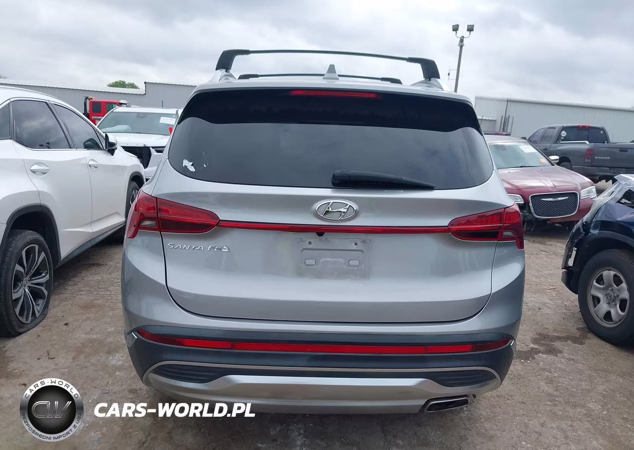 2021 Hyundai Santa Fe Sel VIN:5NMS24AJ0MH341289 - 16