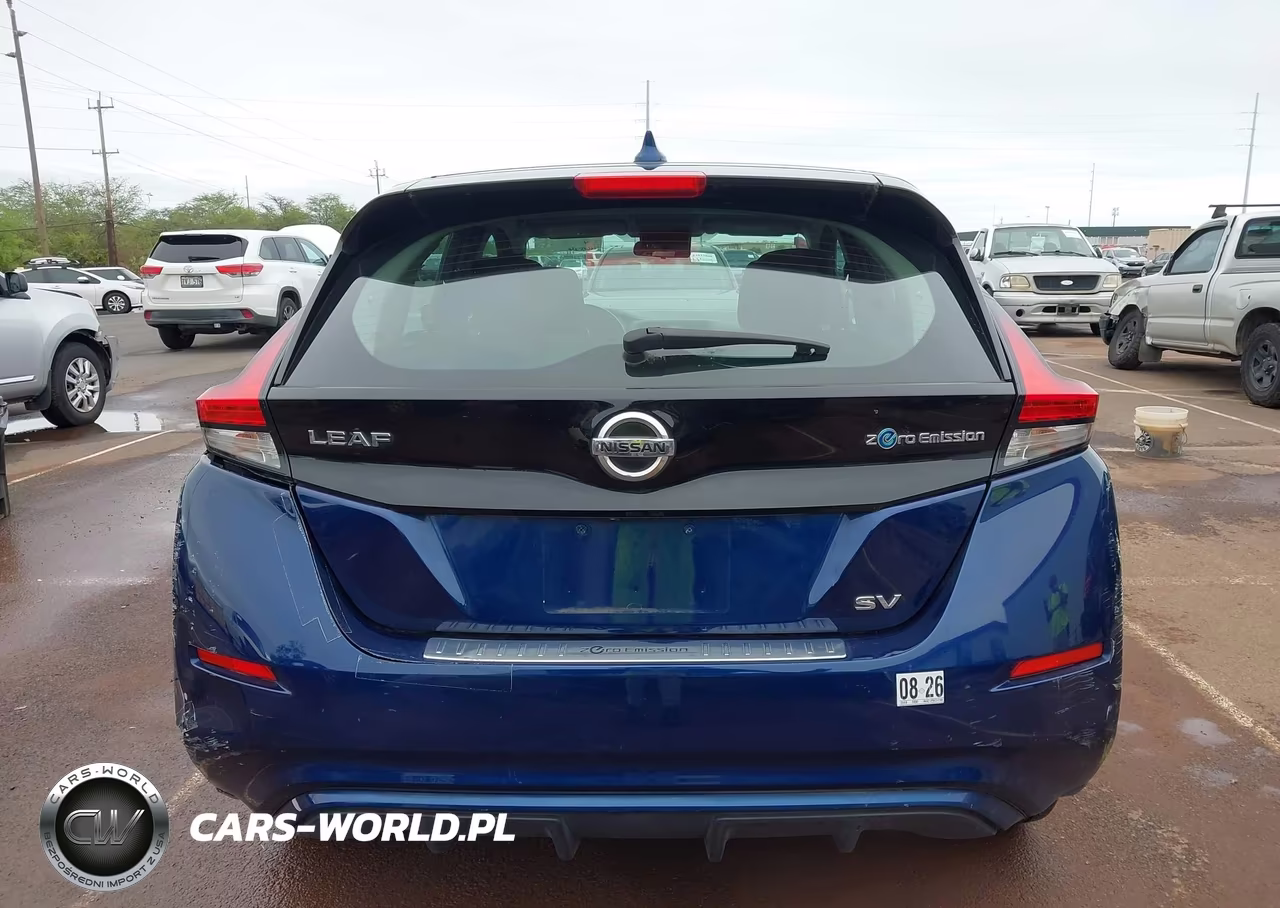 2019 Nissan Leaf Sv VIN:1N4AZ1CP2KC312904 - 17
