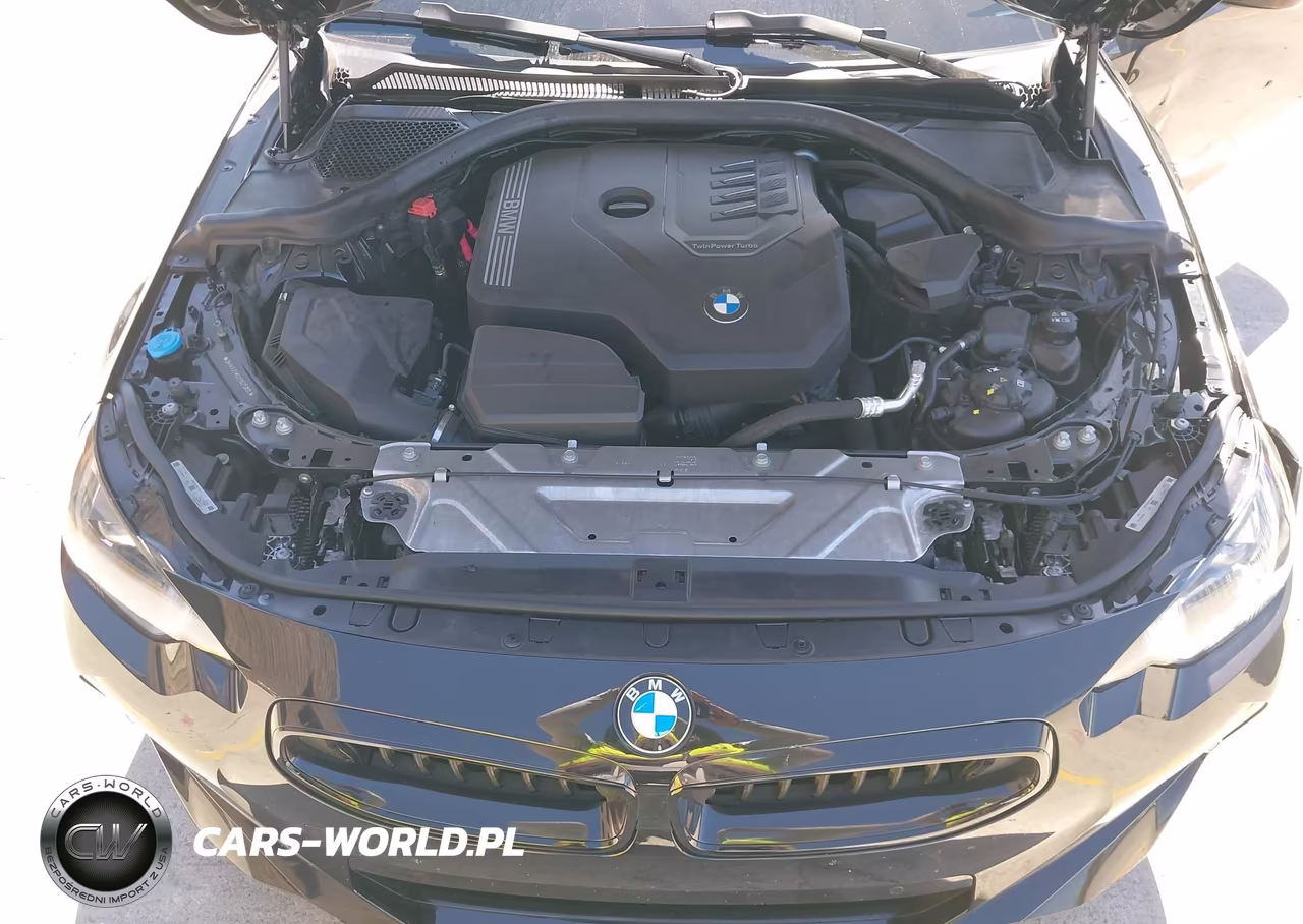 2023 BMW 230 I VIN:3MW23CM0XP8D25800 - 10