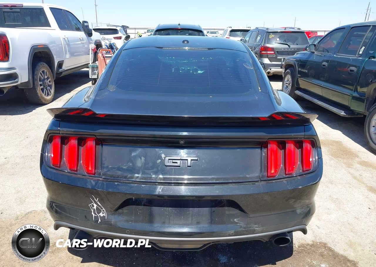 2017 Ford Mustang Gt Premium VIN:1FA6P8CF6H5259648 - 15