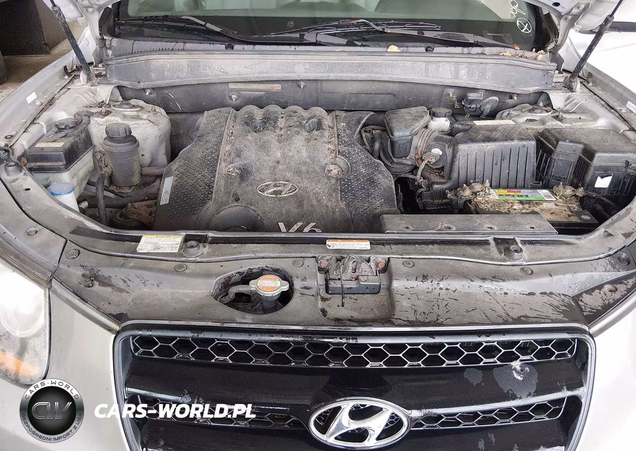 2008 Hyundai Santa Fe Gls VIN:5NMSG13D48H177512 - 10