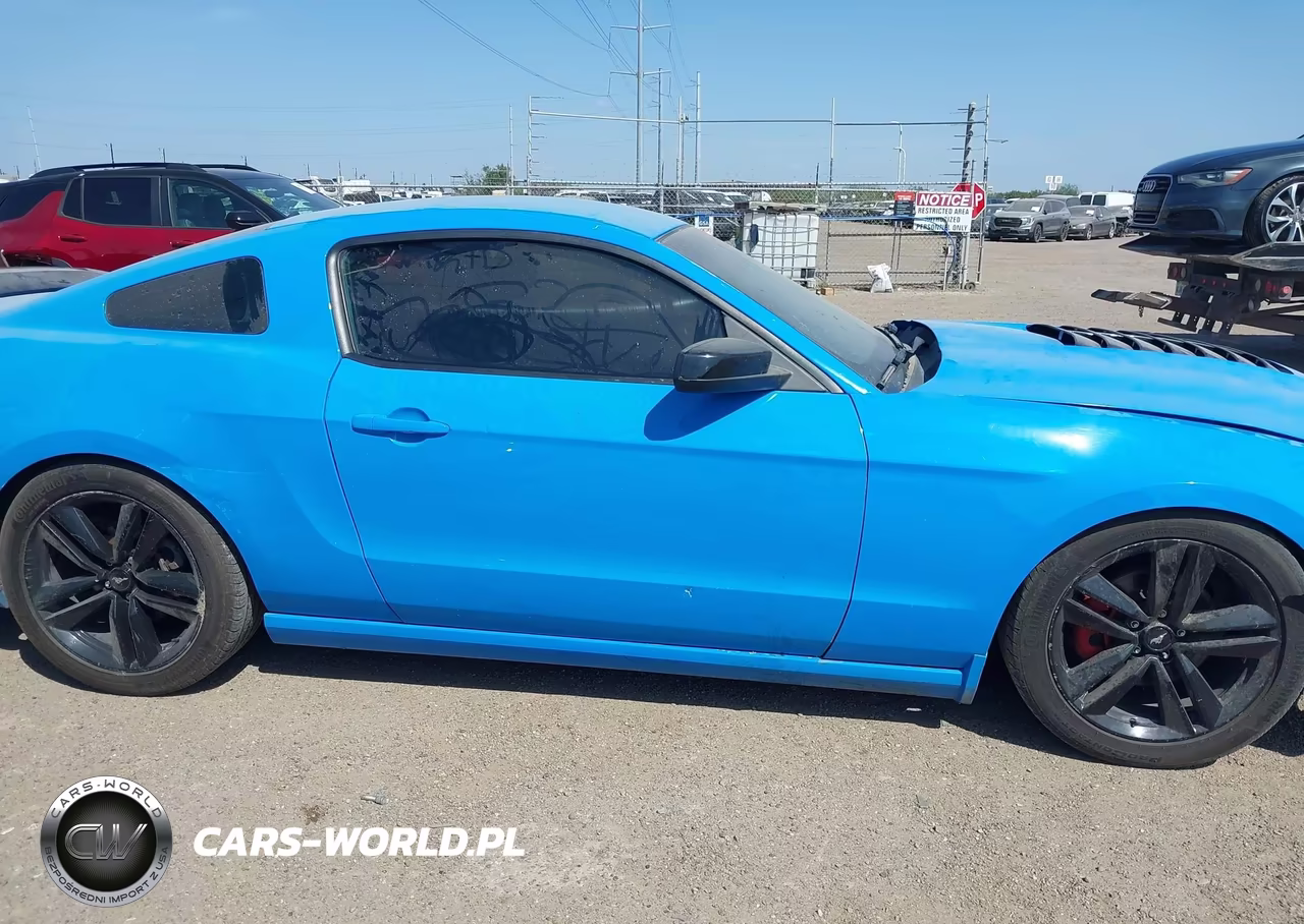 2013 Ford Mustang V6 VIN:1ZVBP8AM1D5254889 - 14
