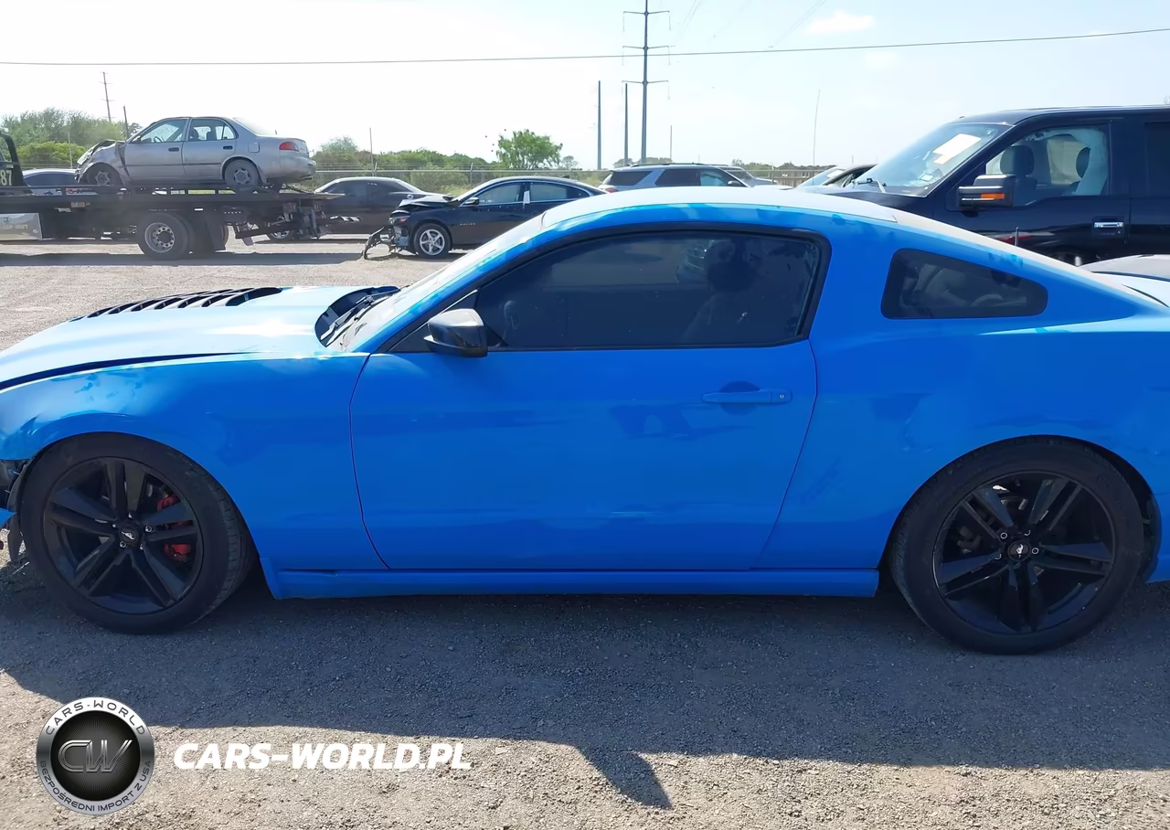 2013 Ford Mustang V6 VIN:1ZVBP8AM1D5254889 - 15