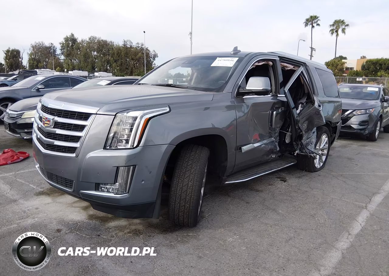 2019 Cadillac Escalade Luxury VIN:1GYS3BKJ9KR101497 - 2
