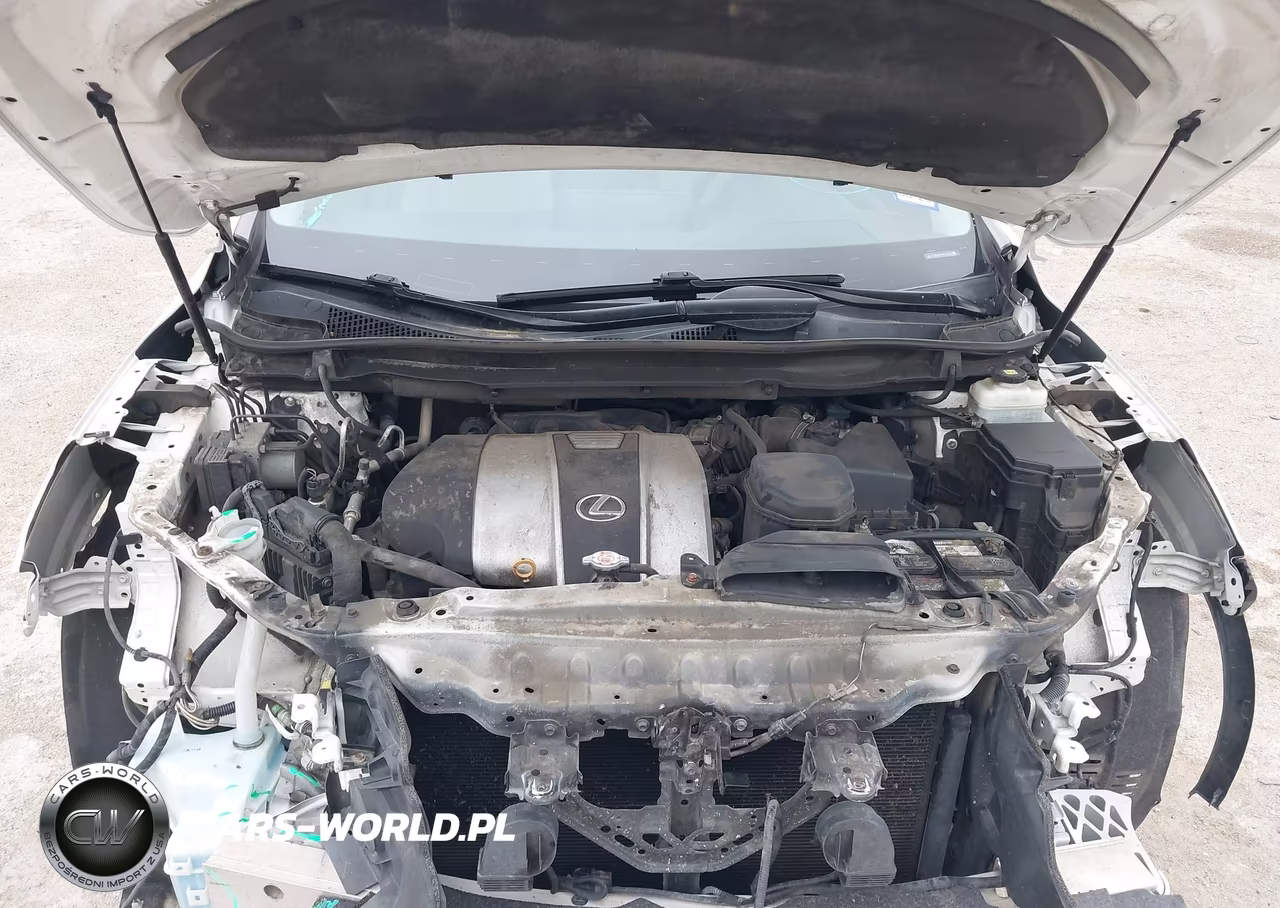 2019 Lexus Rx 350 VIN:2T2BZMCA3KC175504 - 10
