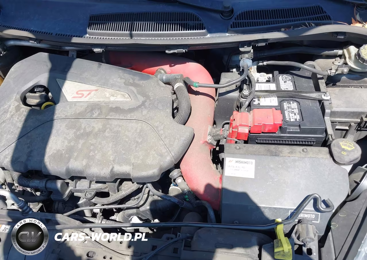 2018 Ford Fiesta St VIN:3FADP4GX7JM121846 - 10