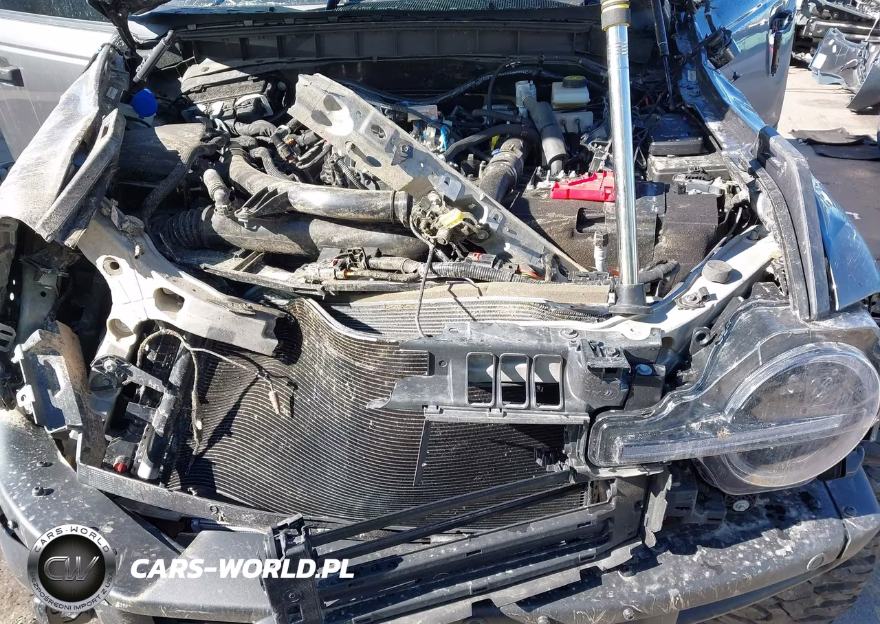 2021 Ford Bronco Badlands VIN:1FMEE5DP8MLA89599 - 10