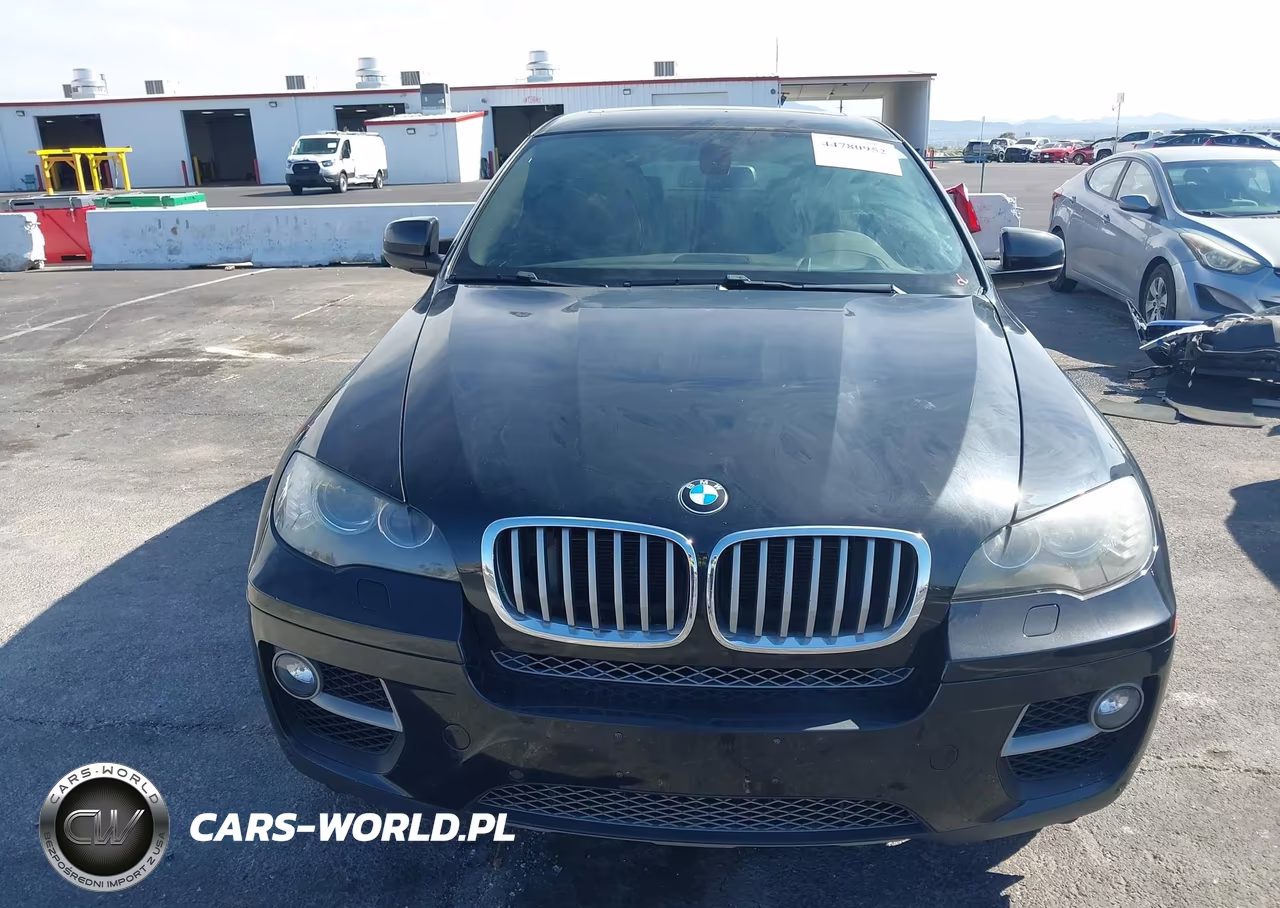 2013 BMW X6 xDrive50I VIN:5UXFG8C5XDL591405 - 12