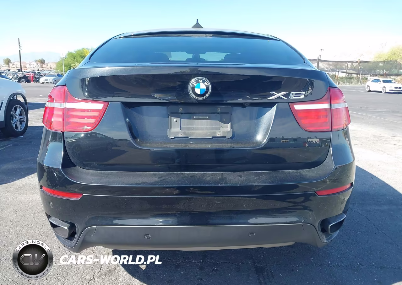 2013 BMW X6 xDrive50I VIN:5UXFG8C5XDL591405 - 16