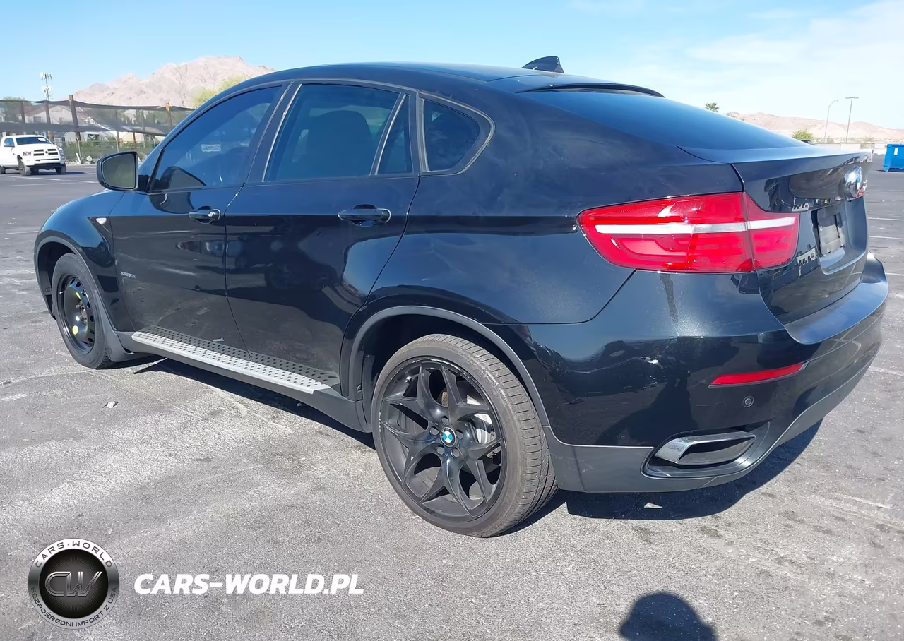 2013 BMW X6 xDrive50I VIN:5UXFG8C5XDL591405 - 3