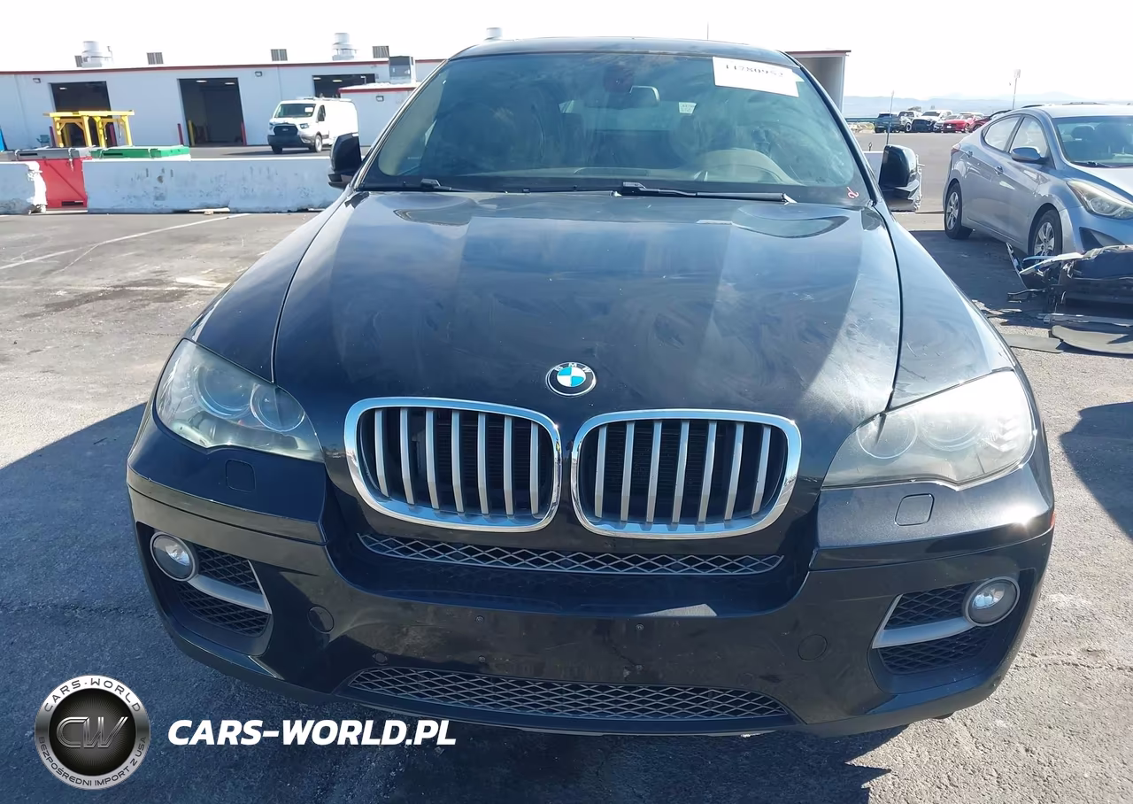2013 BMW X6 xDrive50I VIN:5UXFG8C5XDL591405 - 6