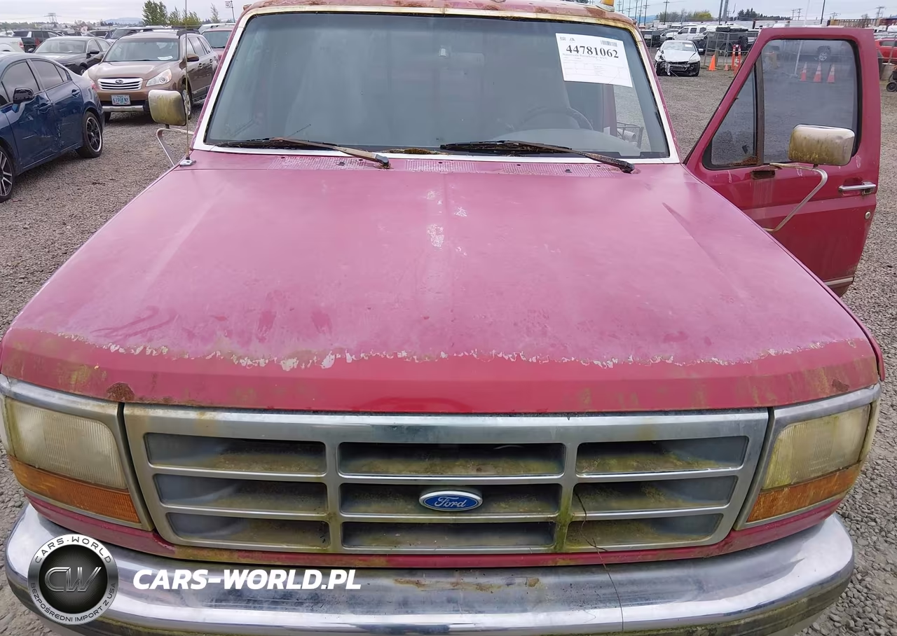 1994 Ford F150 VIN:1FTEX14N2RKB71055 - 10