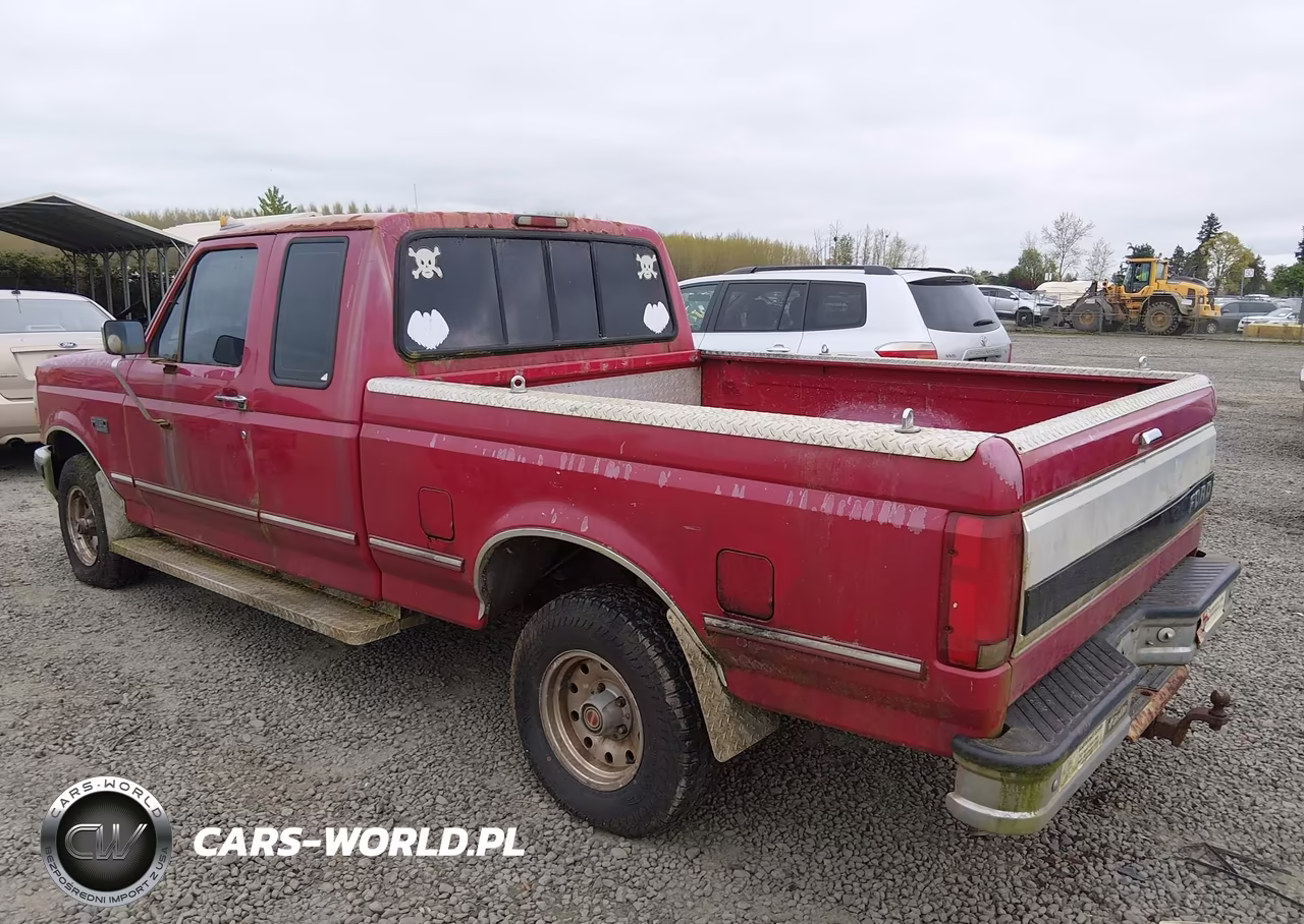 1994 Ford F150 VIN:1FTEX14N2RKB71055 - 3