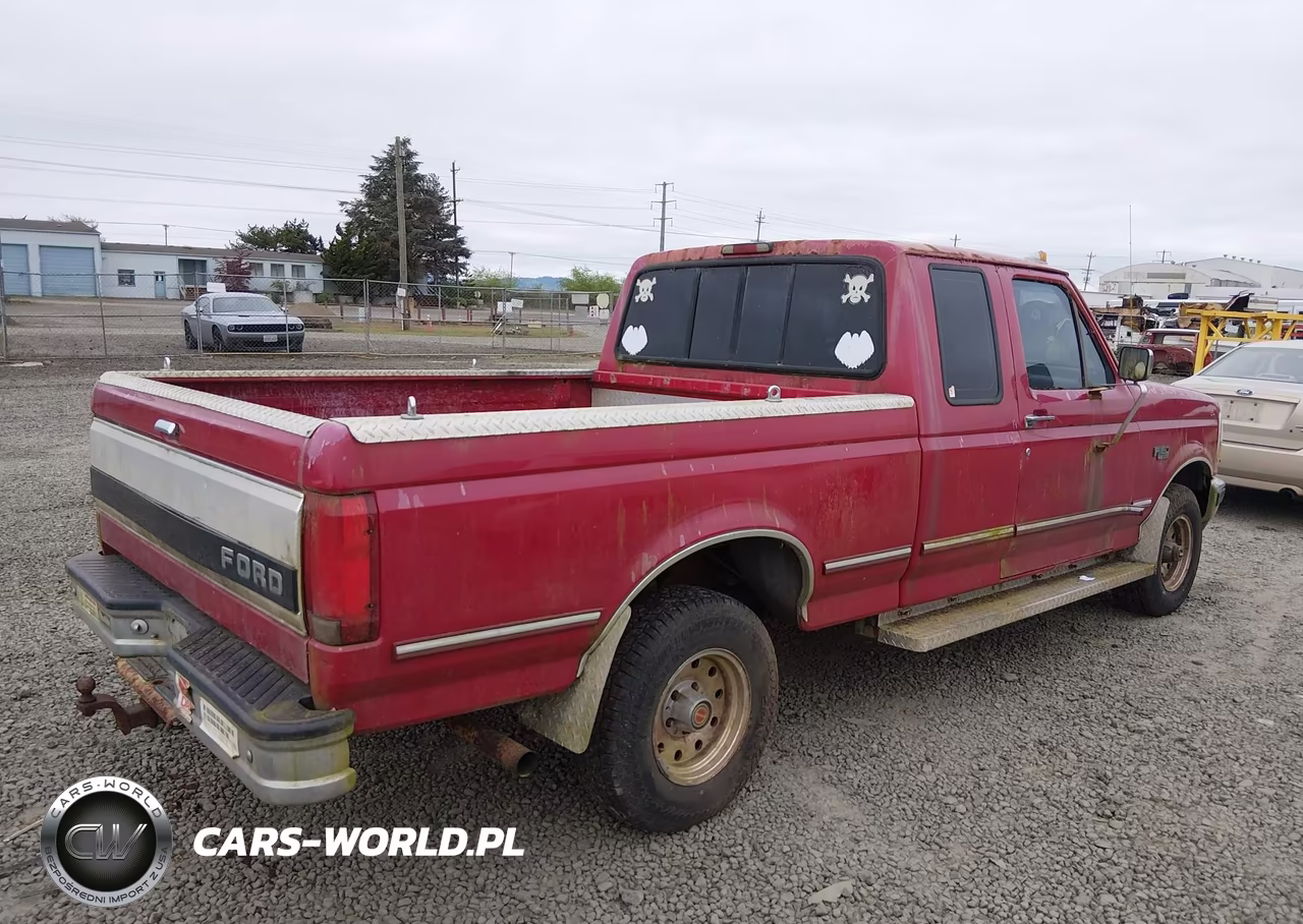 1994 Ford F150 VIN:1FTEX14N2RKB71055 - 4