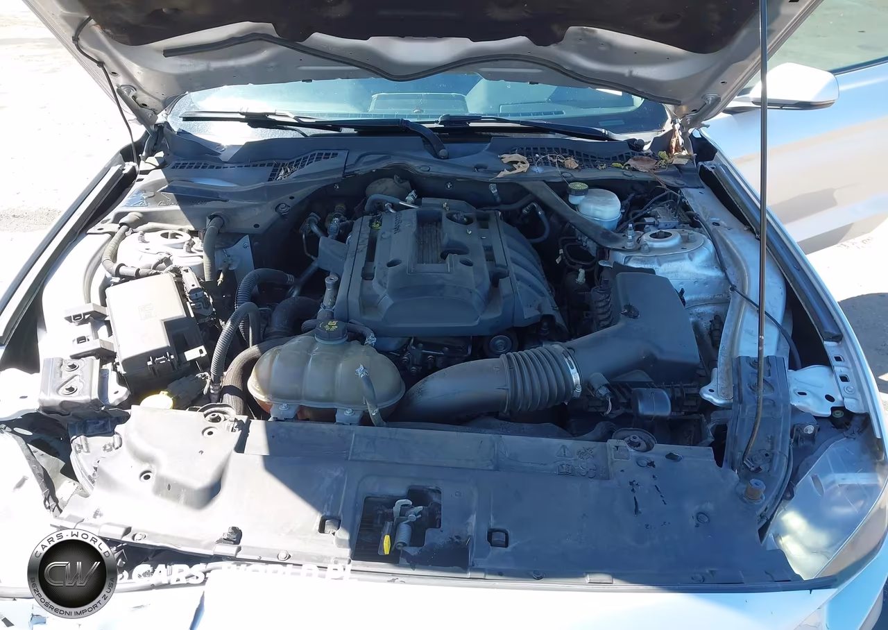 2019 Ford Mustang Ecoboost Premium VIN:1FATP8UH1K5181550 - 10