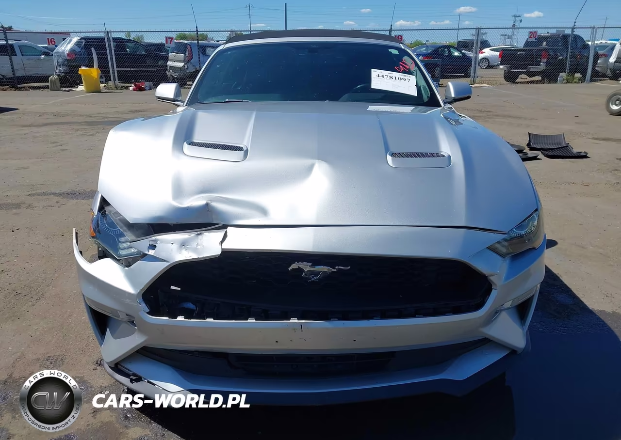 2019 Ford Mustang Ecoboost Premium VIN:1FATP8UH1K5181550 - 12