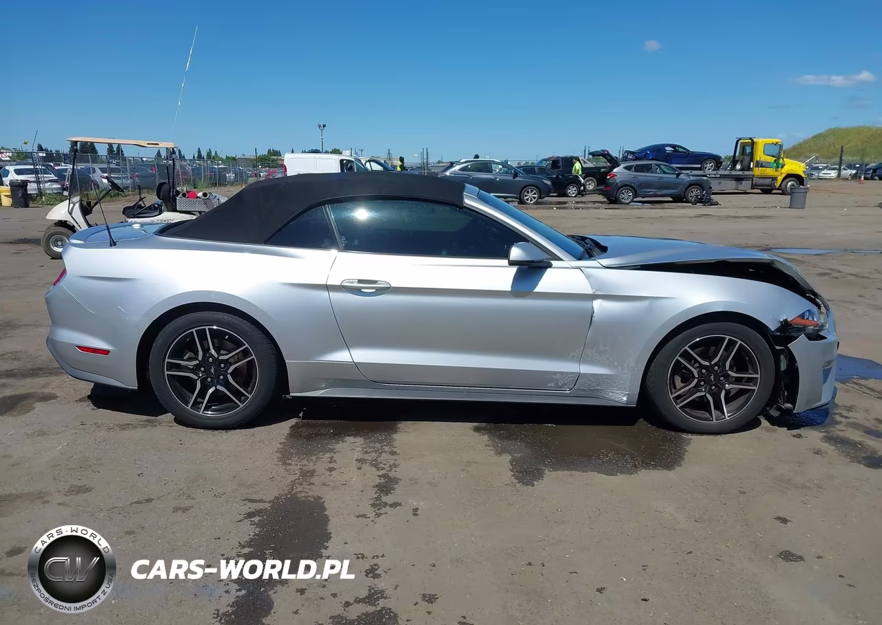 2019 Ford Mustang Ecoboost Premium VIN:1FATP8UH1K5181550 - 13