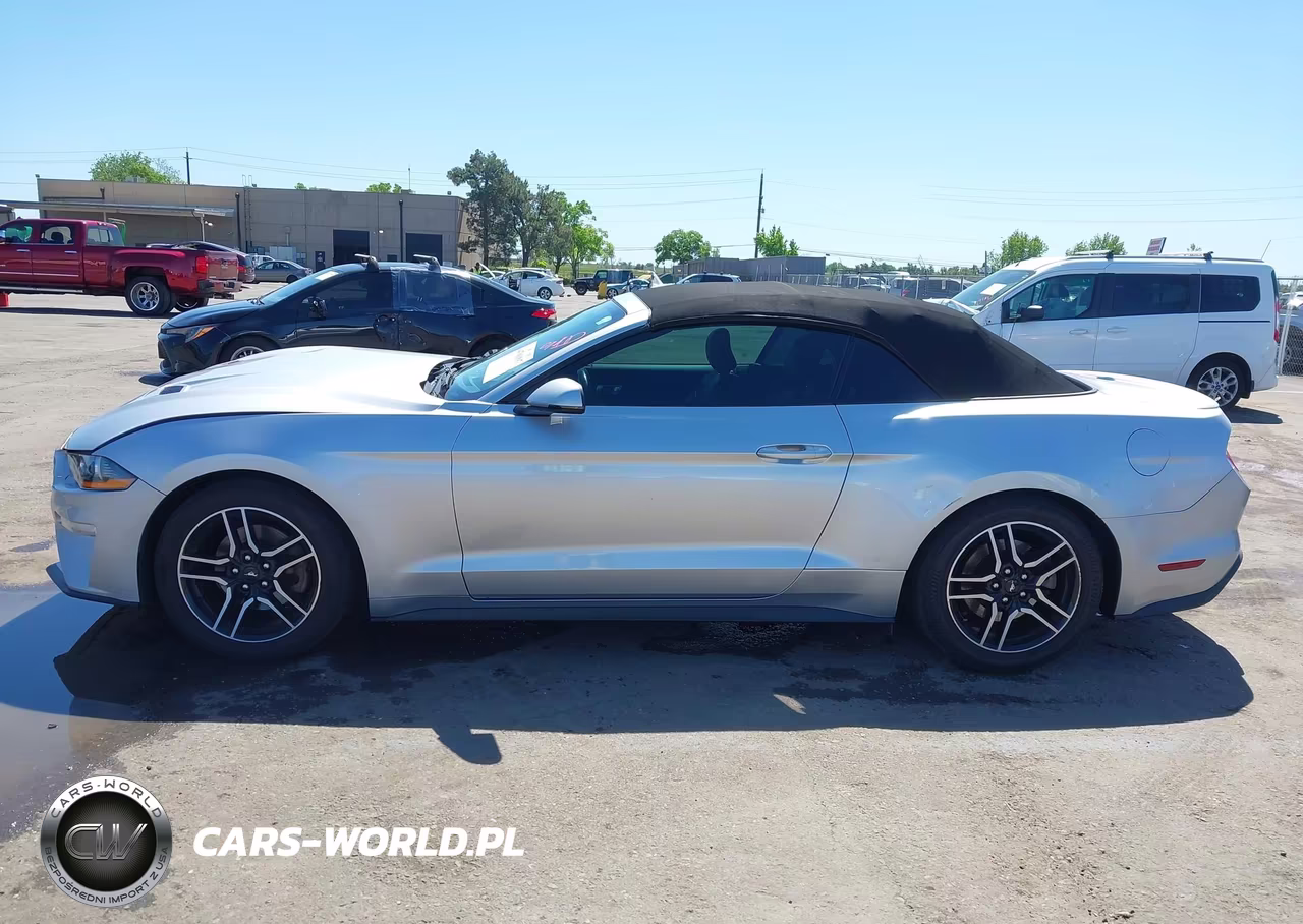 2019 Ford Mustang Ecoboost Premium VIN:1FATP8UH1K5181550 - 14