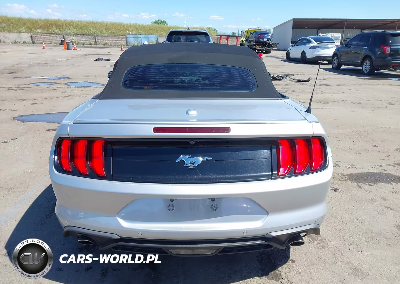 2019 Ford Mustang Ecoboost Premium VIN:1FATP8UH1K5181550 - 16