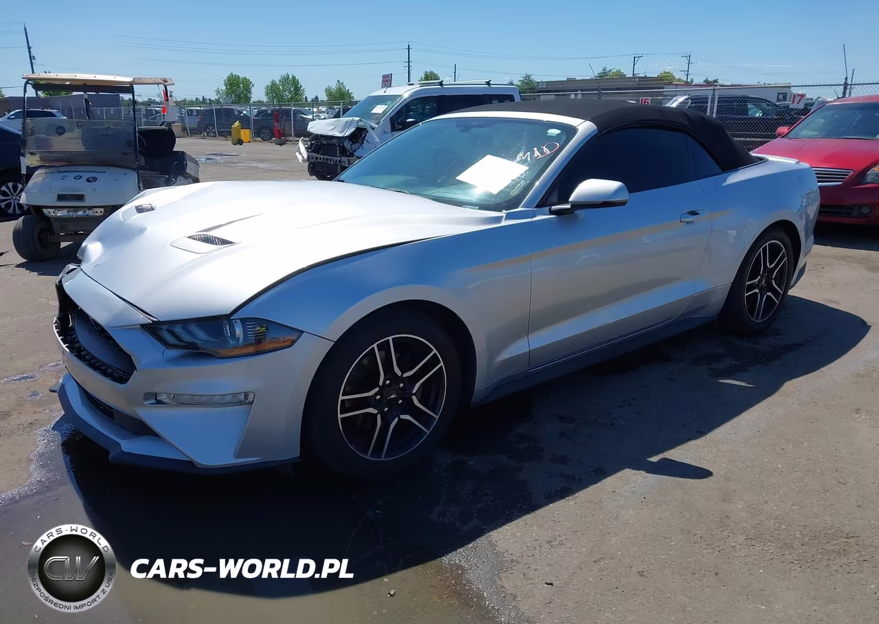 2019 Ford Mustang Ecoboost Premium VIN:1FATP8UH1K5181550 - 2
