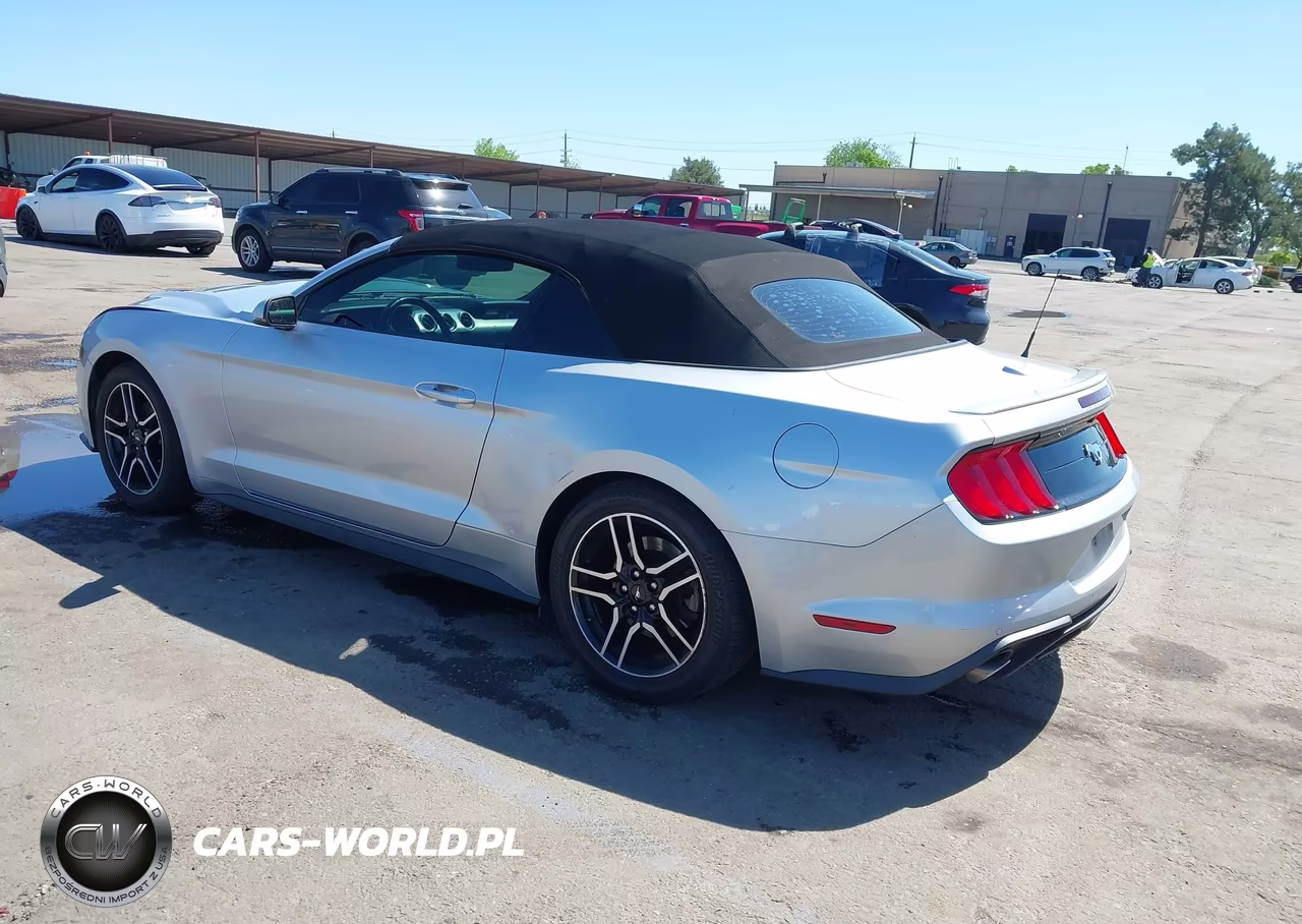 2019 Ford Mustang Ecoboost Premium VIN:1FATP8UH1K5181550 - 3
