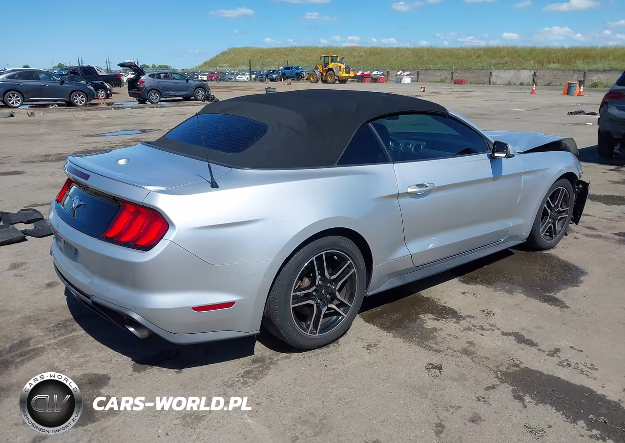 2019 Ford Mustang Ecoboost Premium VIN:1FATP8UH1K5181550 - 4