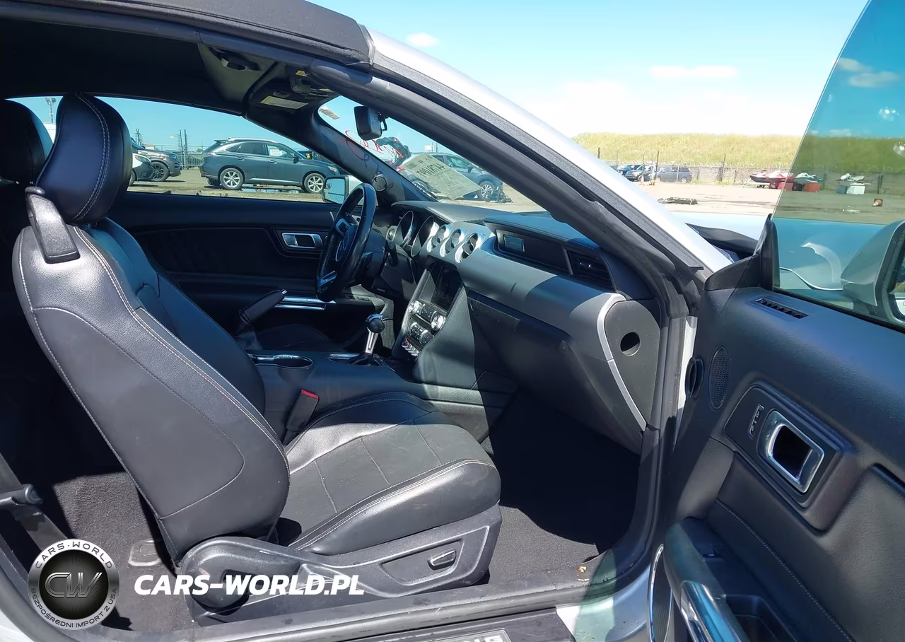 2019 Ford Mustang Ecoboost Premium VIN:1FATP8UH1K5181550 - 5