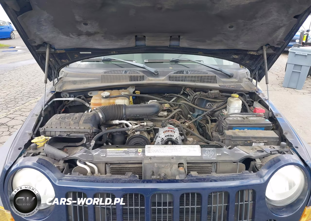 2006 Jeep Liberty Sport VIN:1J4GL48K36W163261 - 10