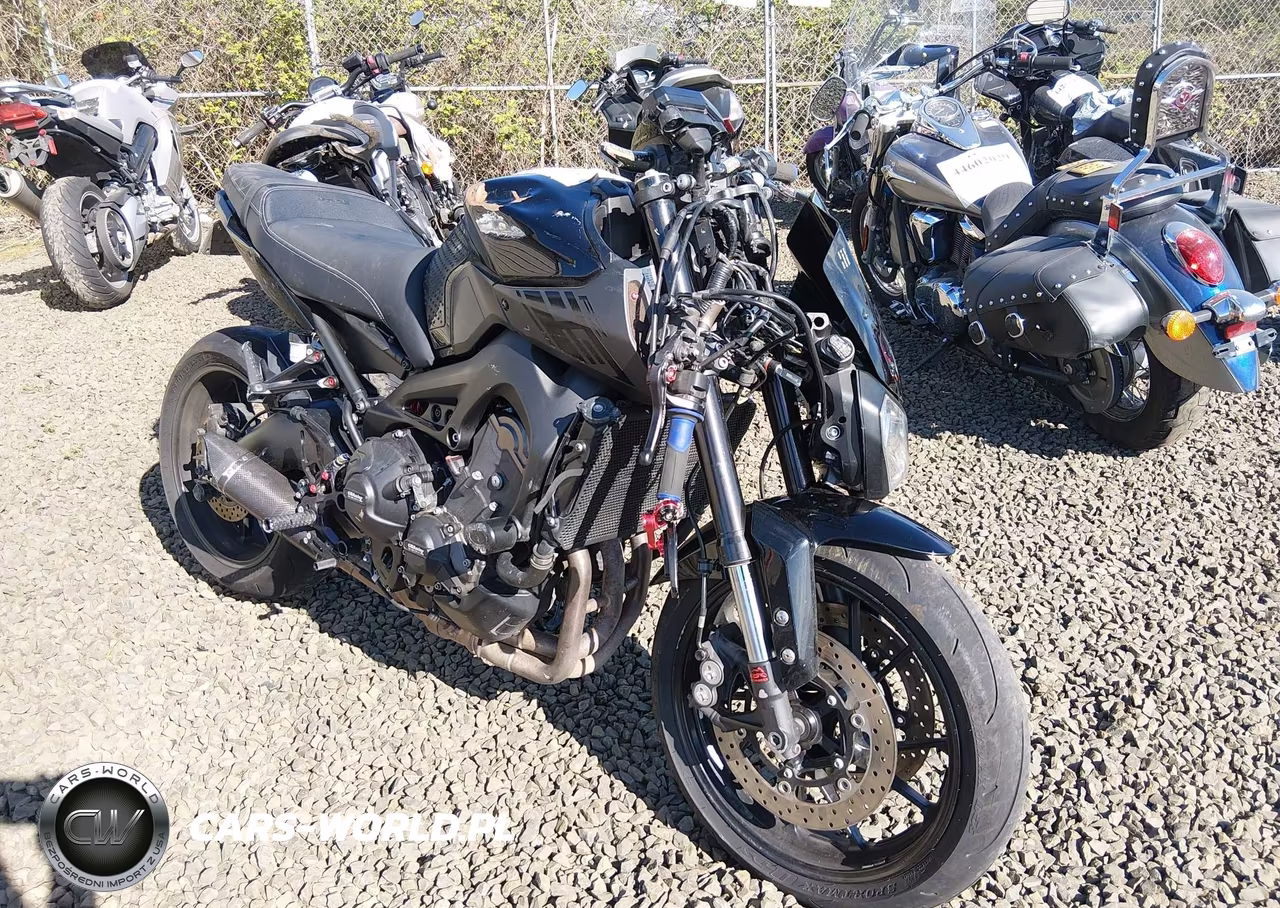 2016 Yamaha Fz09