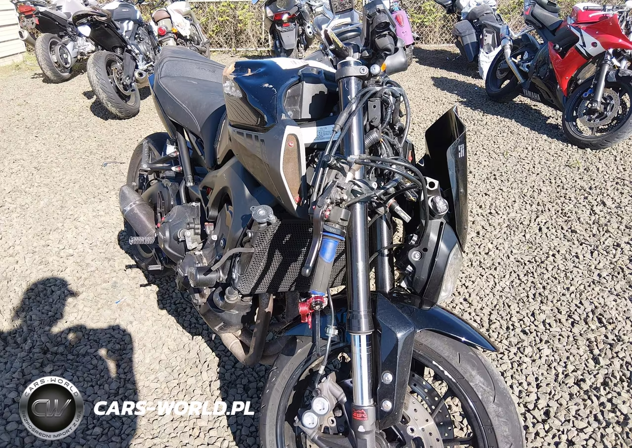 2016 Yamaha Fz09 VIN:JYARN33E6GA010209 - 12