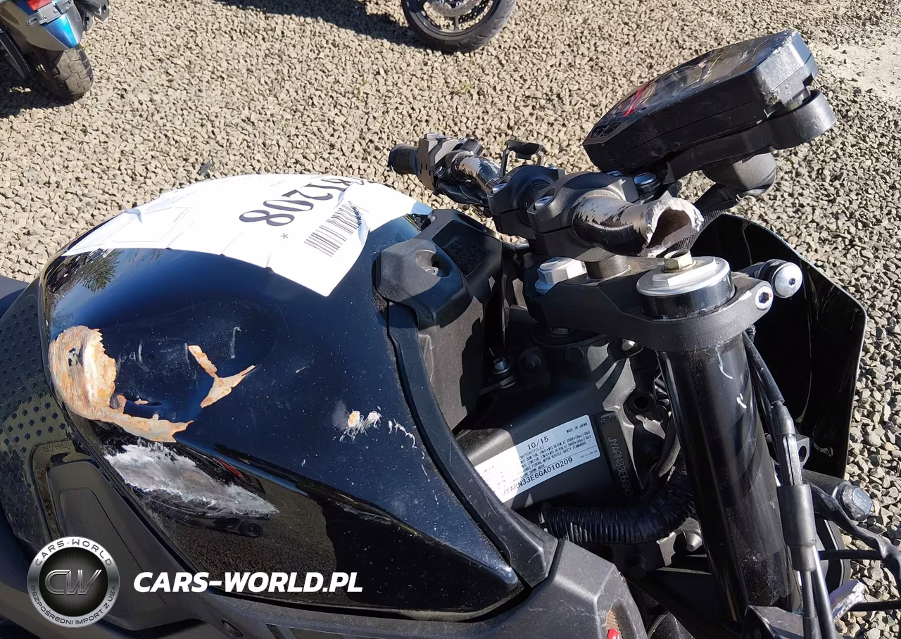 2016 Yamaha Fz09 VIN:JYARN33E6GA010209 - 13