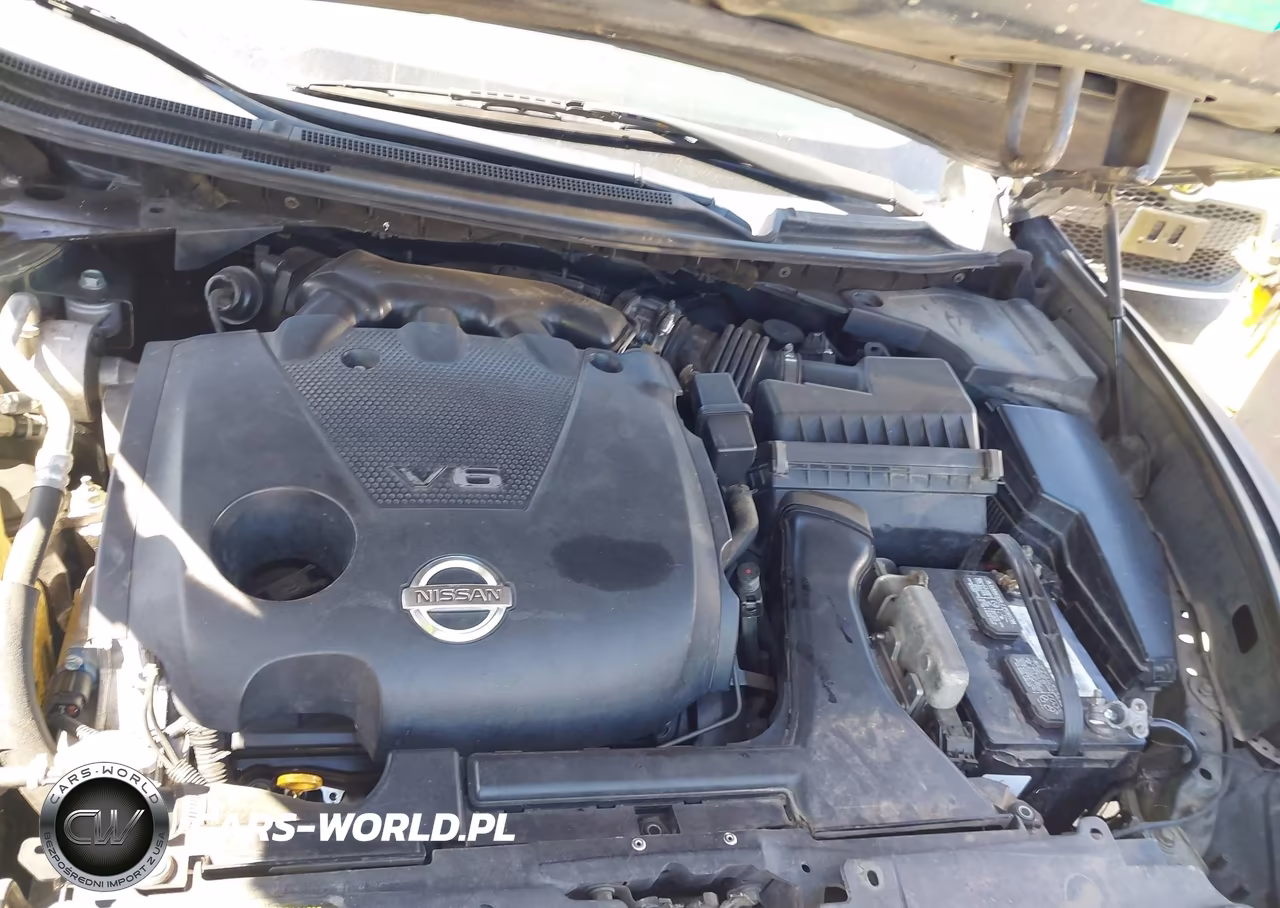 2009 Nissan Maxima 3.5 S VIN:1N4AA51E99C824024 - 10