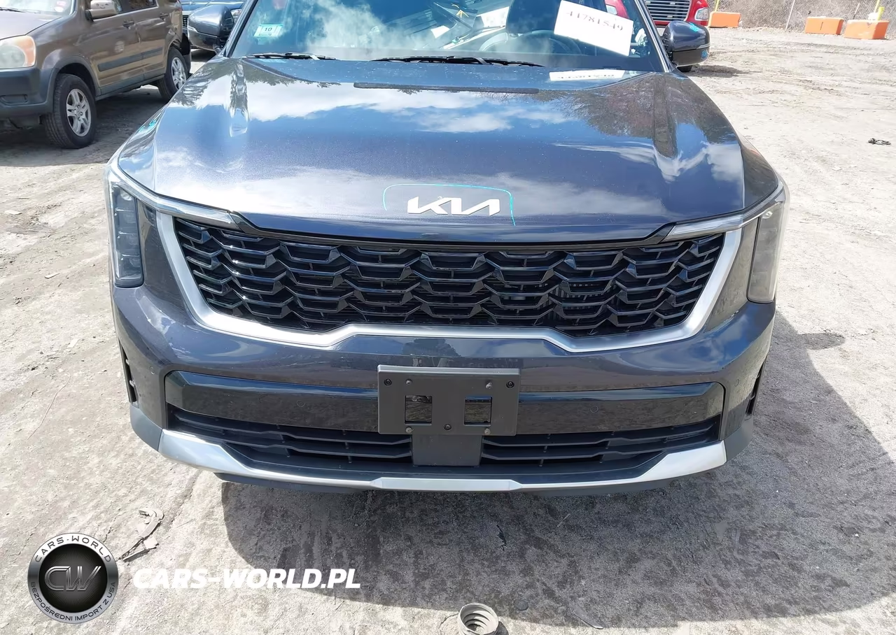 2025 Kia Sorento Ex VIN:5XYRHDJF9SG393195 - 13