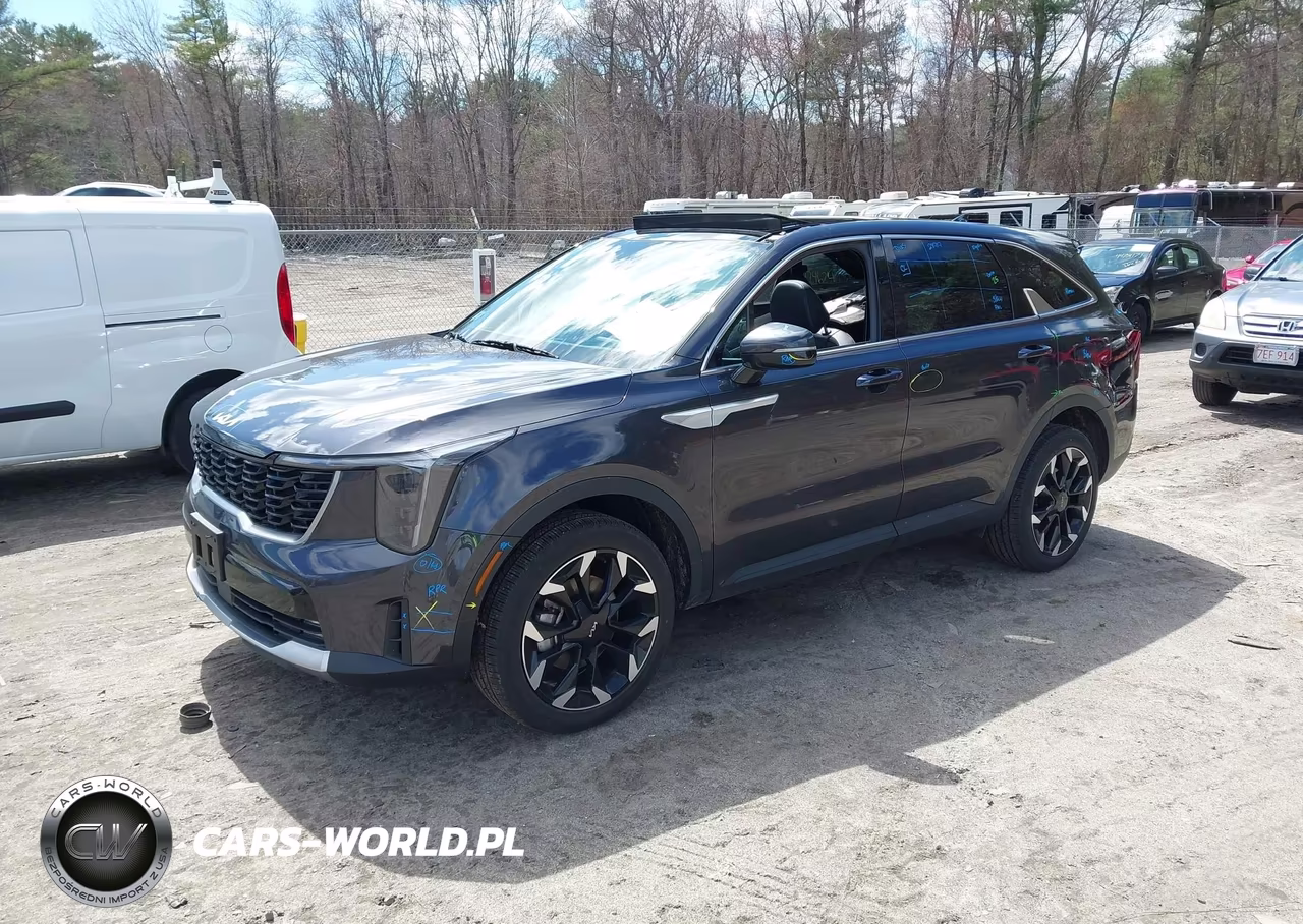 2025 Kia Sorento Ex VIN:5XYRHDJF9SG393195 - 2