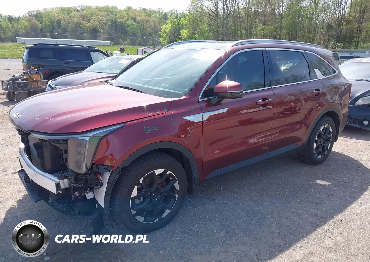 2024 Kia Sorento S VIN:5XYRL4JC0RG293131 - 2