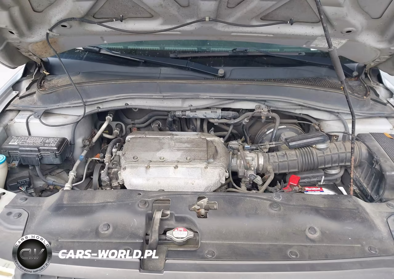2004 Honda Pilot Ex-L VIN:2HKYF187X4H621733 - 10