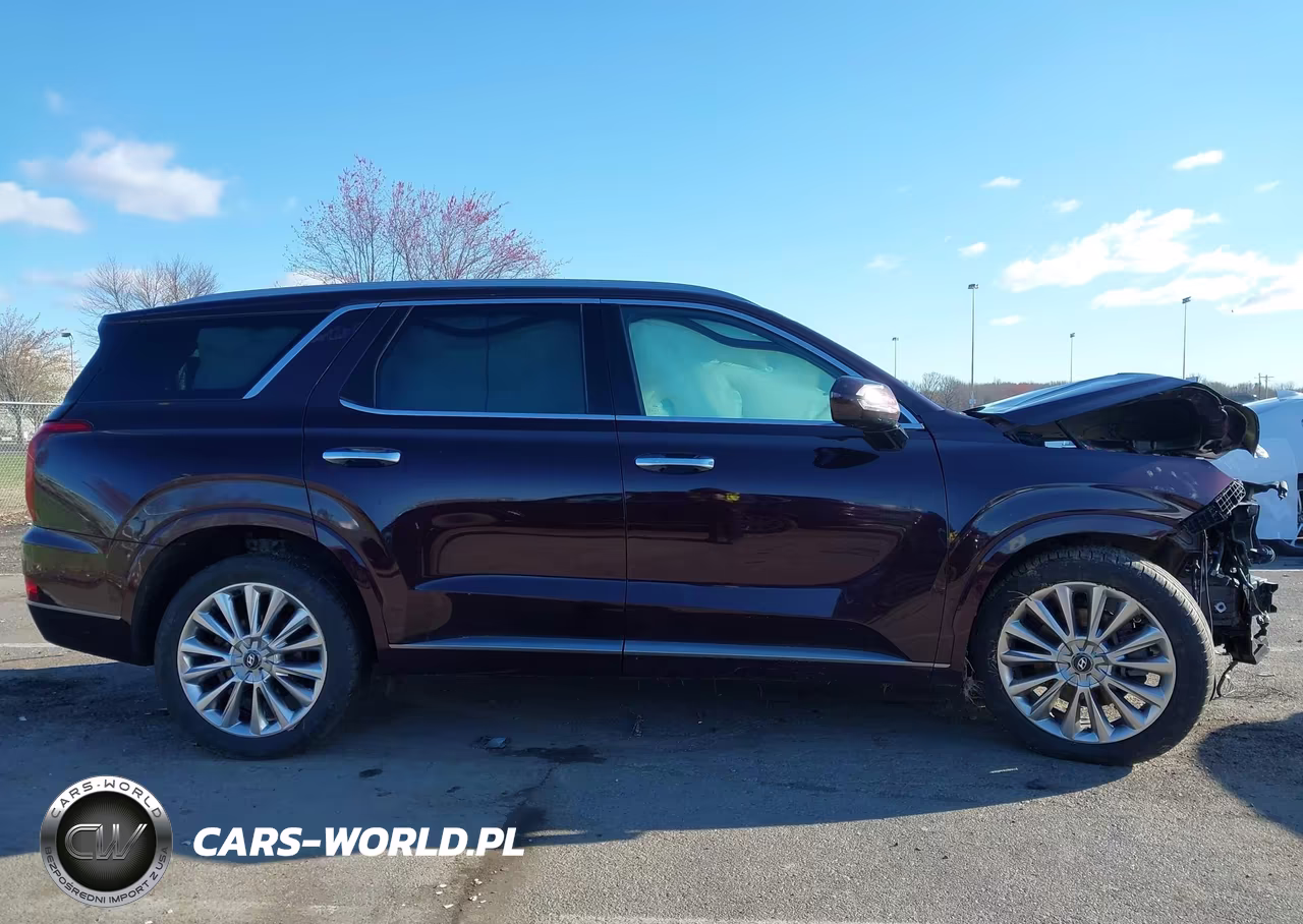 2020 Hyundai Palisade Limited VIN:KM8R5DHE3LU046074 - 13