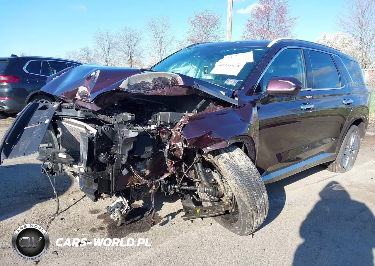 2020 Hyundai Palisade Limited VIN:KM8R5DHE3LU046074 - 2