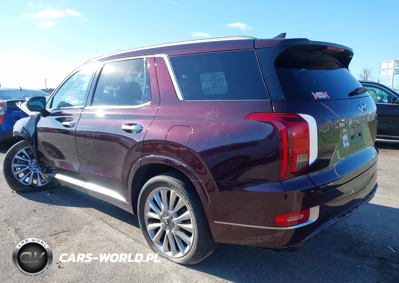 2020 Hyundai Palisade Limited VIN:KM8R5DHE3LU046074 - 3
