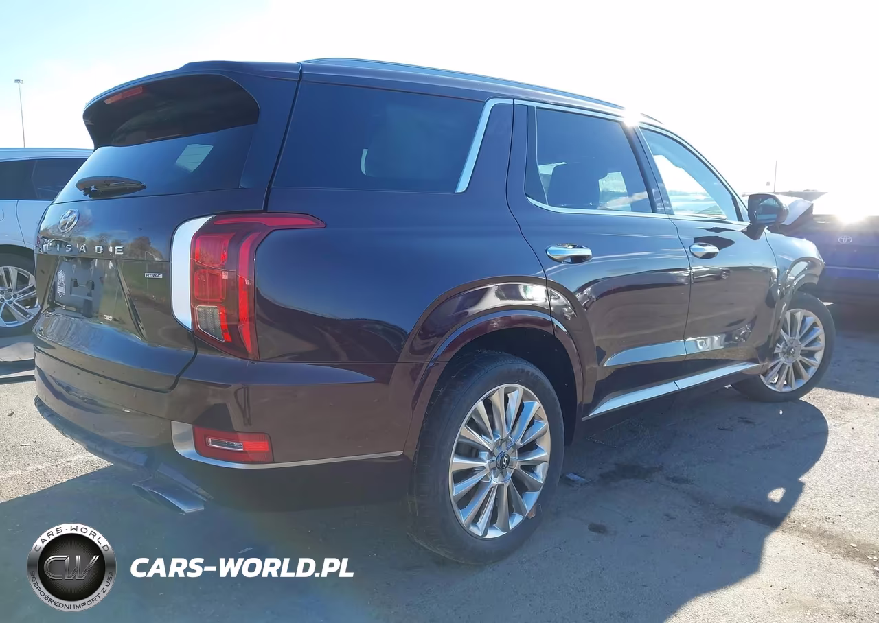 2020 Hyundai Palisade Limited VIN:KM8R5DHE3LU046074 - 4