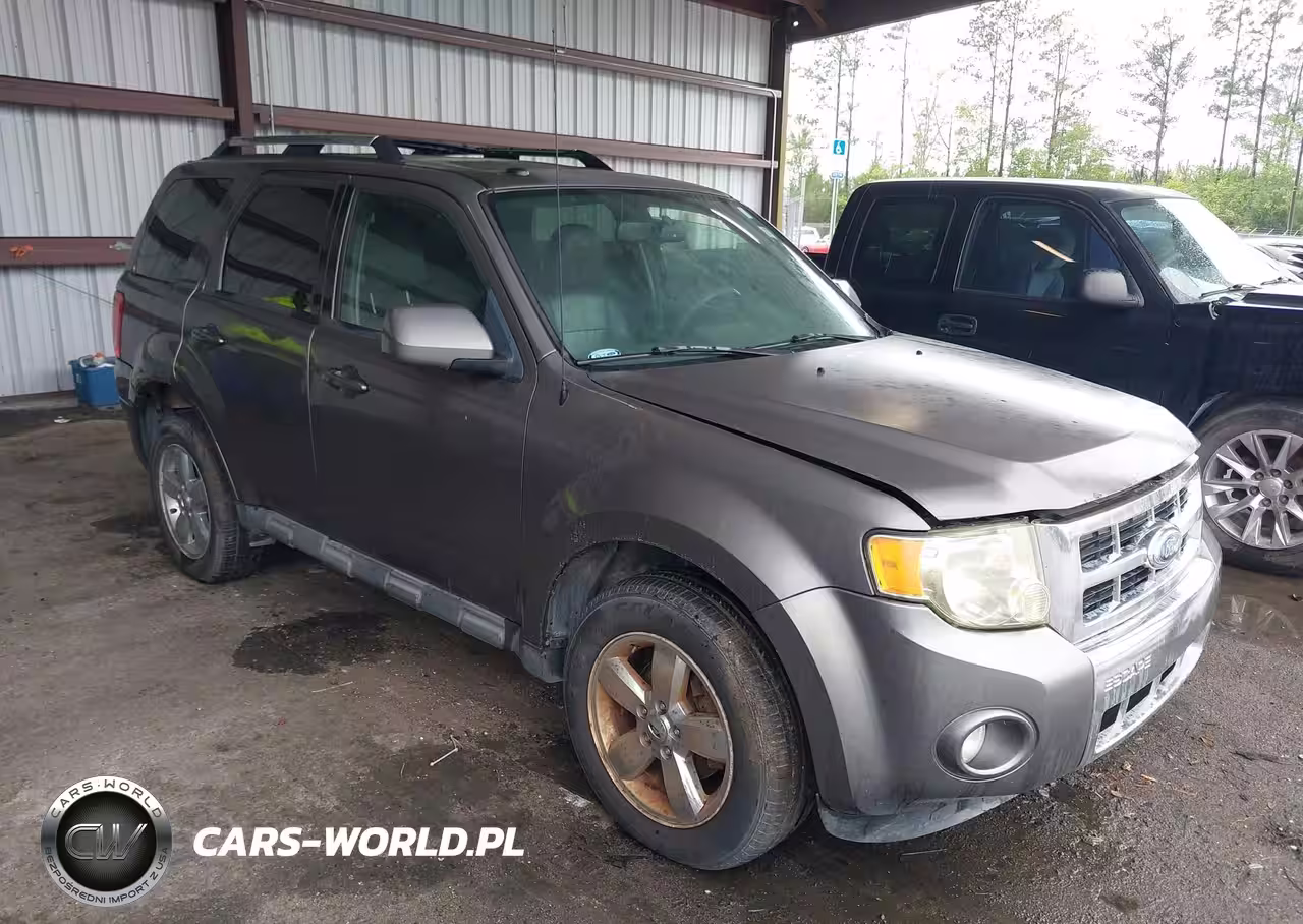 2011 Ford Escape Limited