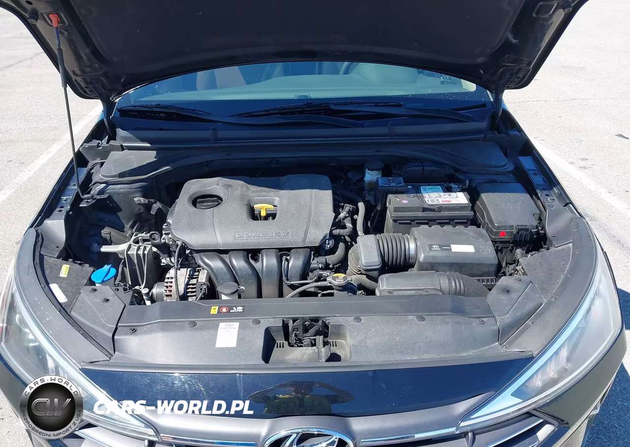 2019 Hyundai Elantra Sel VIN:5NPD84LF7KH478522 - 10