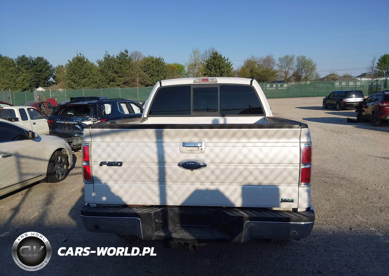 2010 Ford F-150 Fx4-Harley-Davidson-King Ranch-Lariat-Platinum-Xl-Xlt VIN:1FTFW1EVXAFB70593 - 17