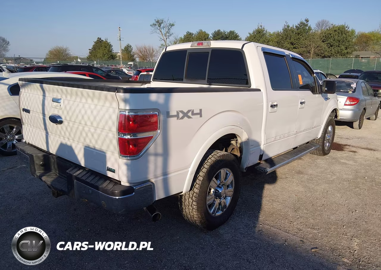 2010 Ford F-150 Fx4-Harley-Davidson-King Ranch-Lariat-Platinum-Xl-Xlt VIN:1FTFW1EVXAFB70593 - 4