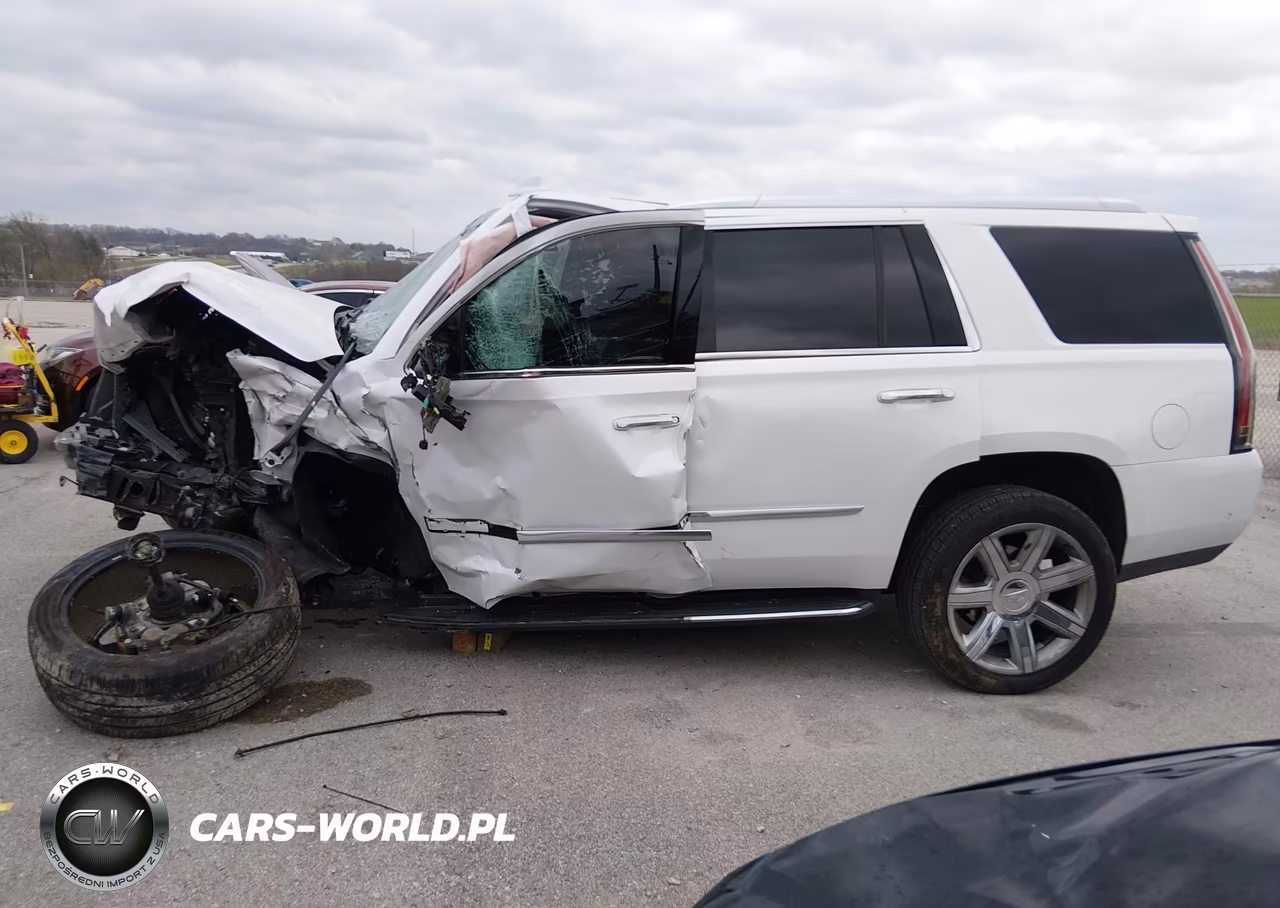 2017 Cadillac Escalade Luxury VIN:1GYS4BKJ4HR139113 - 14