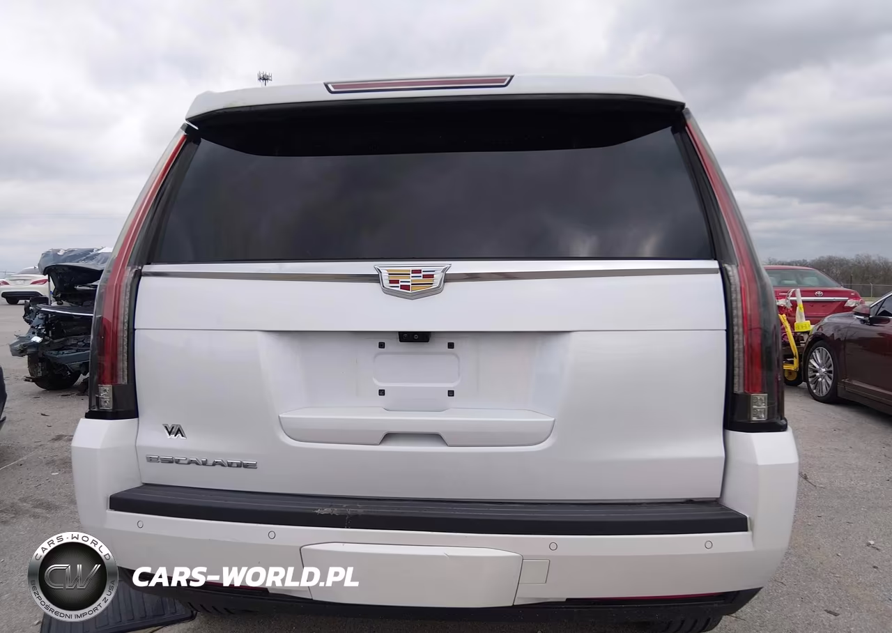 2017 Cadillac Escalade Luxury VIN:1GYS4BKJ4HR139113 - 16
