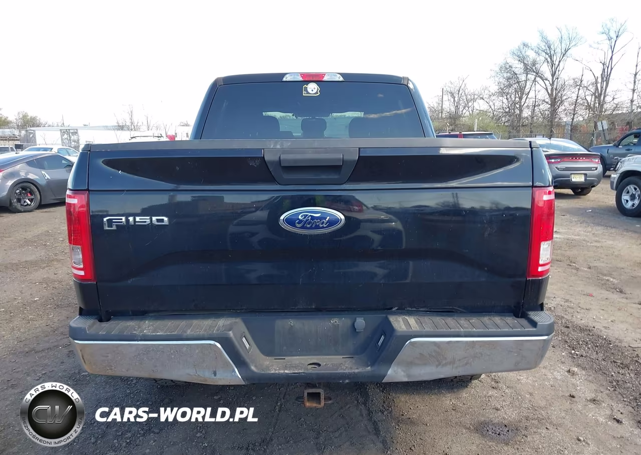 2017 Ford F-150 Xlt VIN:1FTEW1EG5HFC21375 - 16