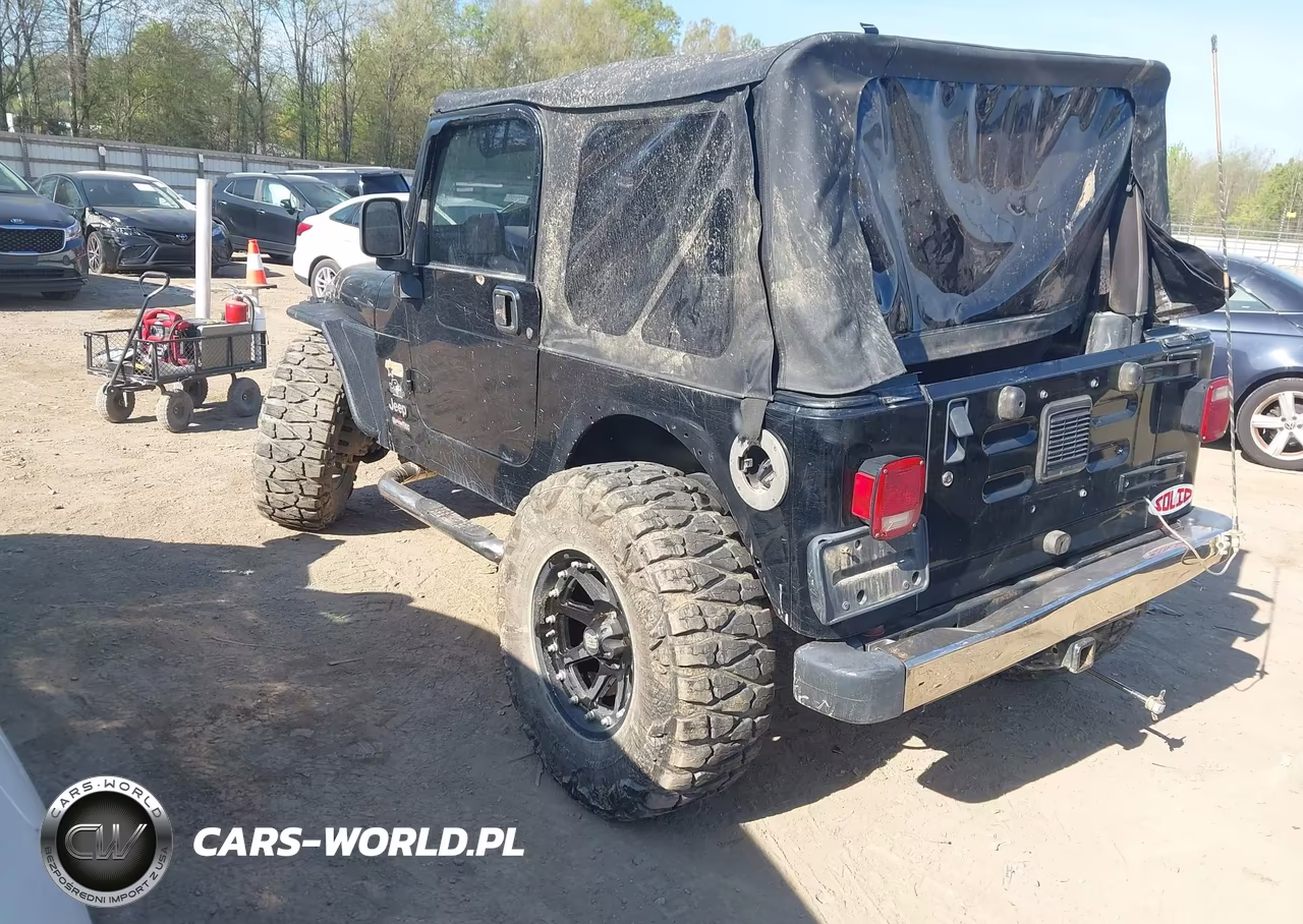 2003 Jeep Wrangler X VIN:1J4FA39S83P365027 - 3