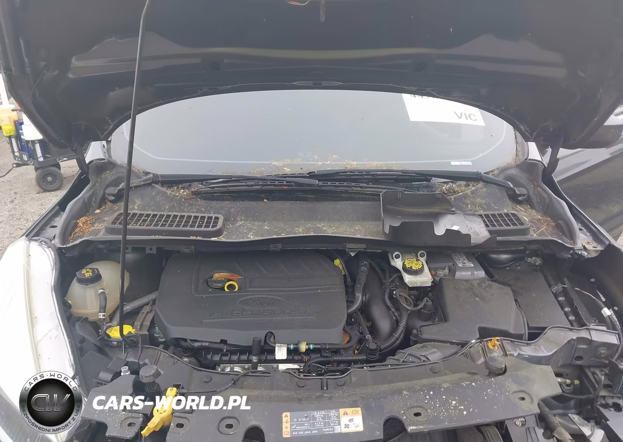 2017 Ford Escape Se VIN:1FMCU0GD2HUA29395 - 10