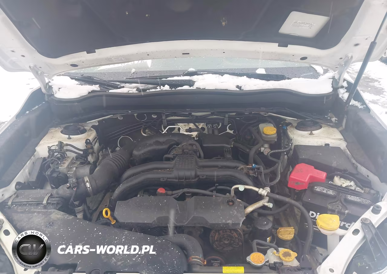 2016 Subaru Forester 2.5I Touring VIN:JF2SJAXC0GH447467 - 10